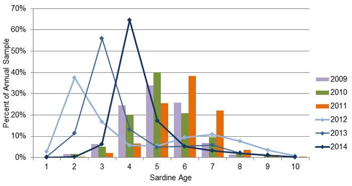 Chart showing age distribution of sardine samples, 2009-2014
