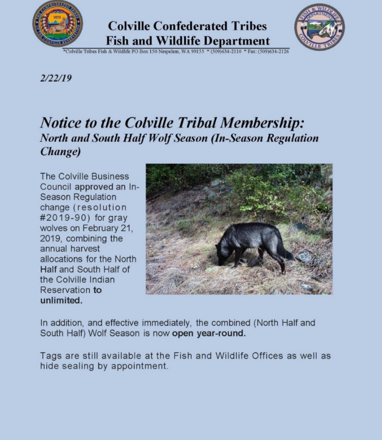 Image of a posting by the Colville Confederated Tribes discussing wolf hunting season on the reservation