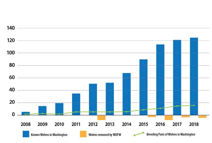 Graph showing wolf population increase in Washington from 2008-2018