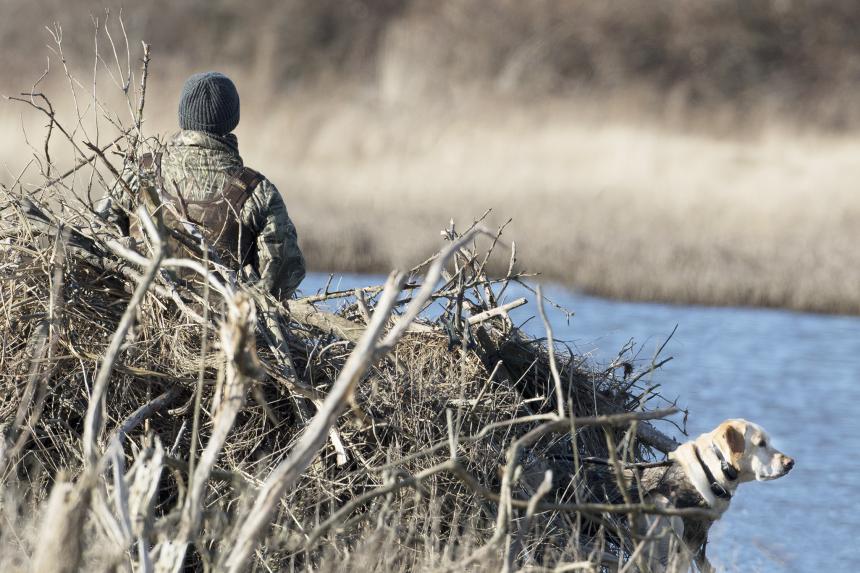 A hunter and dog wait for waterfowl in a blind