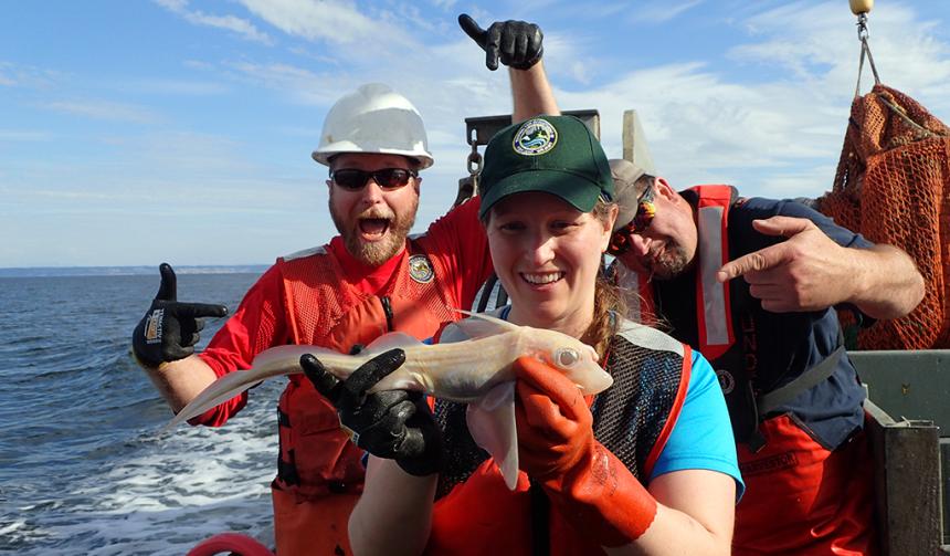 WDFW personnel on a boat holding a rare deep sea albino rat fish