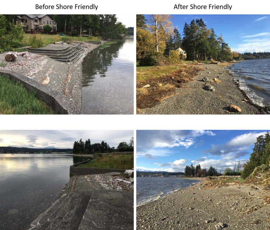 Before and after shoreline restoration of property in Dyes Inlet with the Shore Friendly program.