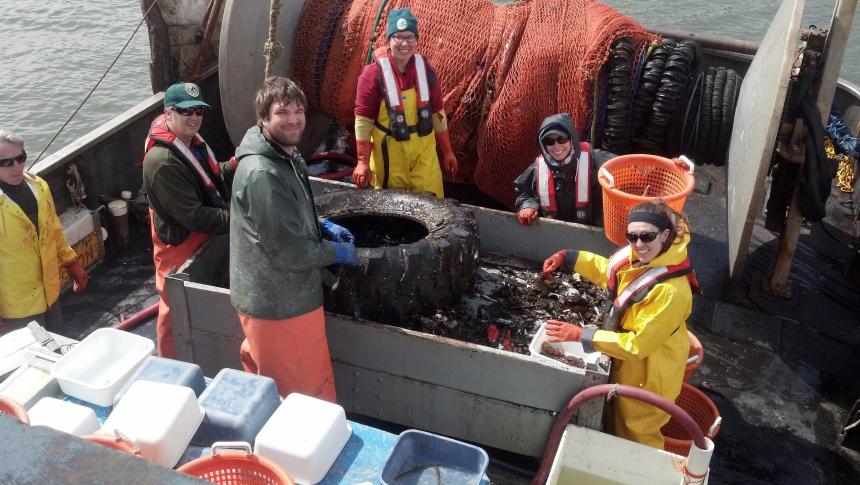 WDFW biologists sorting and measuring fish onboard the F/V Chasina.