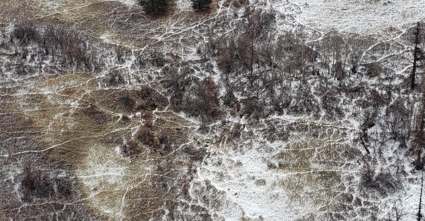 Touchet pack spotted from above on an open slope