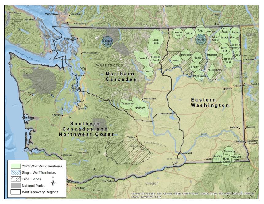 Map of Washington State showing the locations and general boundaries of all confirmed wolf packs in the state