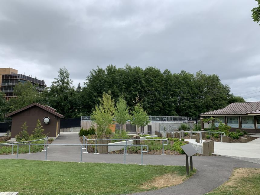 Tumwater Falls hatchery in June 2021