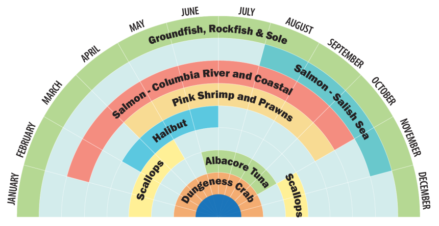 Infographic showing seafood in season throughout the year. 
