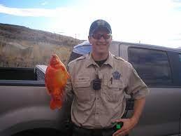 WDFW officer with goldfish