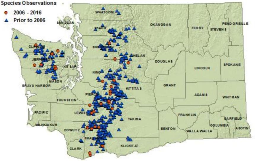Cascades frog distribution map of Washington: detections in all counties along Cascade Range and on Olympic Peninsula