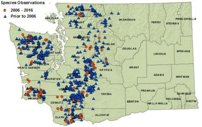 Coastal tailed frog state distribution map: westside counties except San Juan, Kitsap; all eastside counties along Cascades 