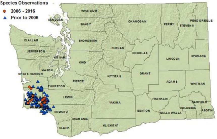 2016 Cascade torrent salamander distribution map of Washington: detections in Pacific, Wahkiakum, Cowlitz, Lewis counties