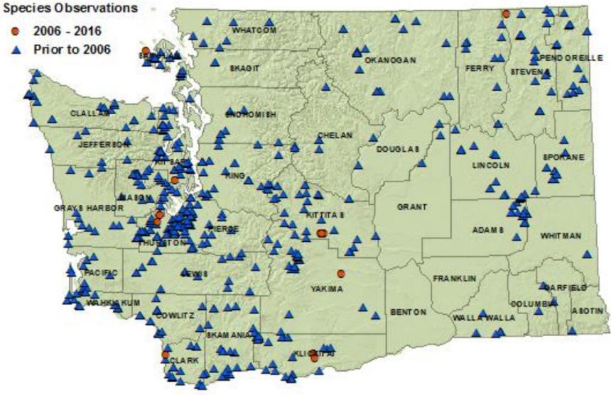 Common garter snake distribution map of Washington as of 2016: all counties but Benton and Franklin
