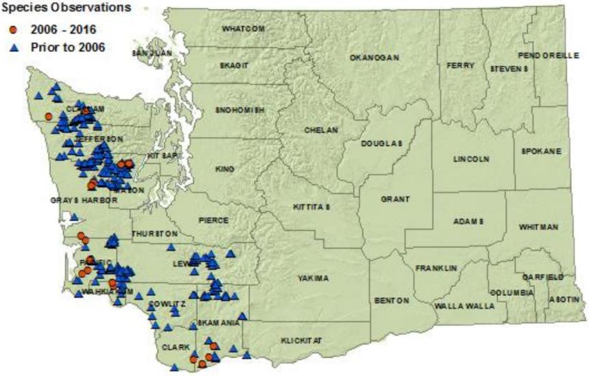 Cope's giant salamander distribution map of Washington: all southwest and Olympic Peninsula counties plus Skamania