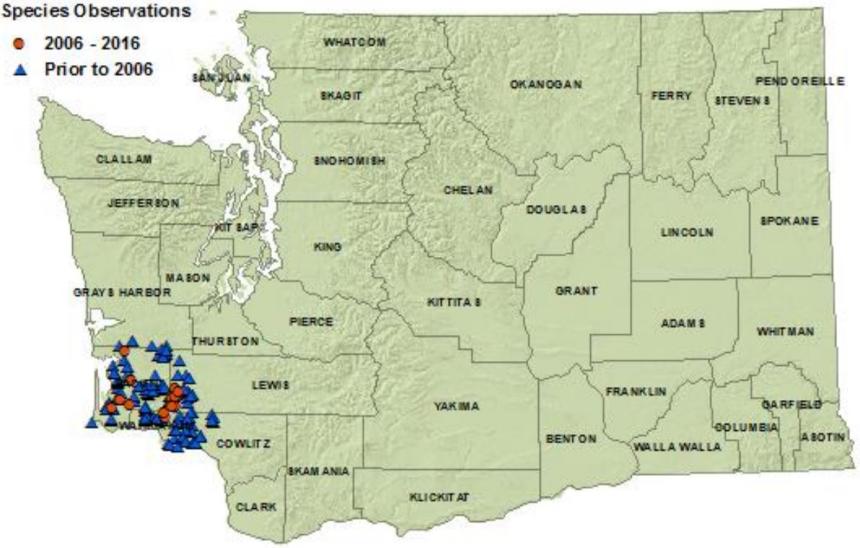 Dunn's salamander distribution map of Washington as of 2016:detections in Grays Harbor, Pacfic, Wahkikum, Cowltiz counties