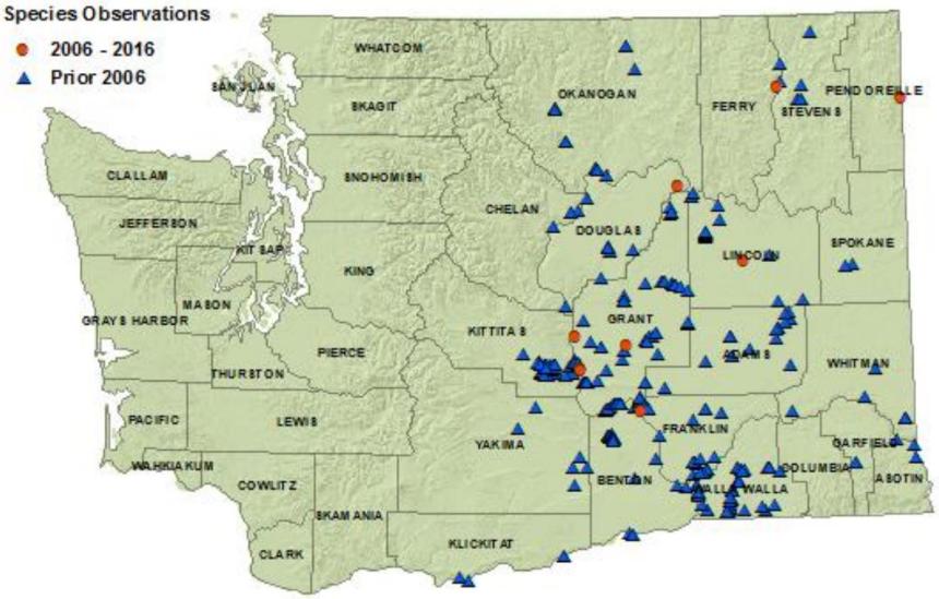 Great Basin spadefoot distribution map of Washington as of 2016:detections in eastside counties but Pend Oreille and Columbia
