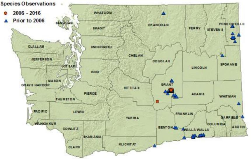 Northern leopard frog state map:Okanogan,Pend Oreille,Spokane,Grant,Klicikitat,Benton,Walla Walla,Whitman,Asotin counties