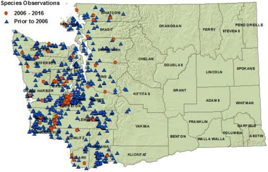 Northern red-legged frog distribution map of Washington:detections in all westside counties plus Kittitas, Yakima, Klickitat