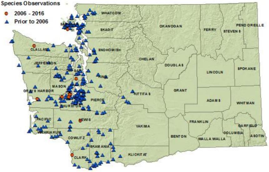 2016 Northwestern garter snake state distribution map: all westside counties plus Skamania,Kilckitat,Yakima,Kittitas 