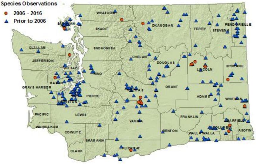 Terrestrial northwestern garter snake state detection map:all counties but Pacific,Wahkiakum,Cowlitz,Clark,Garfield