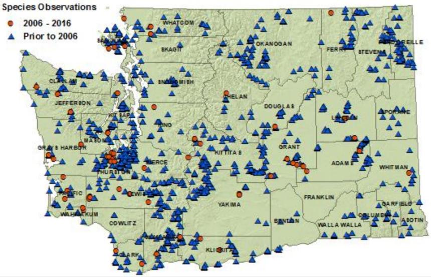 Pacific treefrog distribution map for Washington as of 2016, showing detections in all counties.