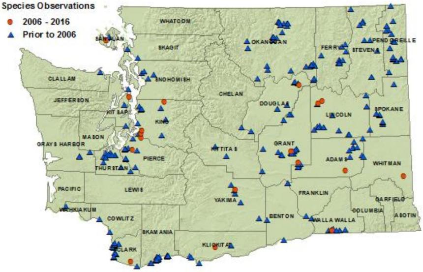 2016 Painted Turtle Distribution Map: detections in 14 westside and 17 eastside counties