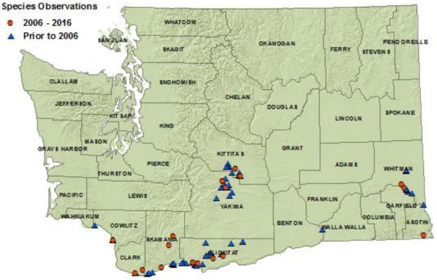 Ring-necked snake detection map:Kittitas,Yakima, Whitman;all southern border counties but Pacific,Wahkiakum,Benton,Columbia; 