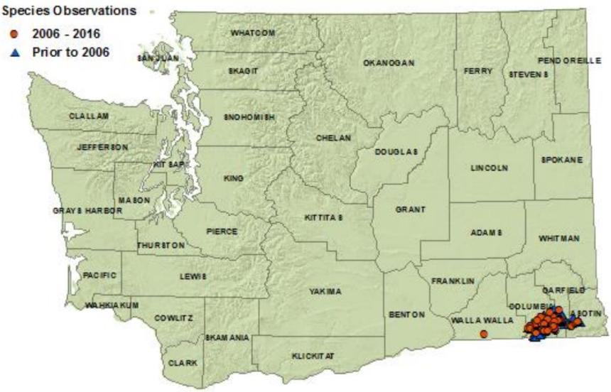 2016 Rocky Mountain tailed salamander Washington distribution map :4 eastern counties:Walla Walla,Columbia,Garfield,Asotin