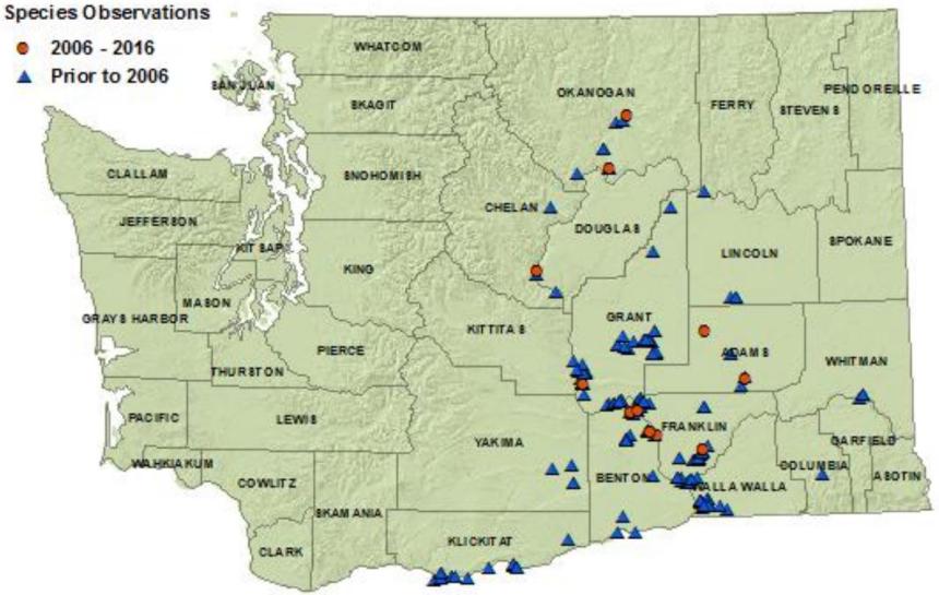 Sagebrush lizard state distribution map:all eastside counties but Ferry,Stevens,Pend Oreille,Spokane,Kittitas,Asotin,Skamania