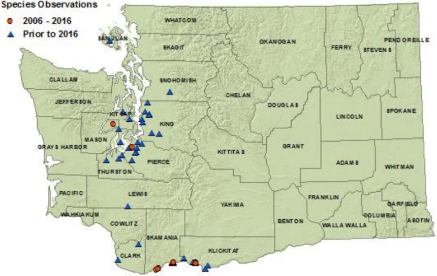 2016 western pond turtle state distribution map:San Juan,Snohomish,King,Pierce, Kitsap,Thurston,Lewis,Clark,Skamania,Klicktat
