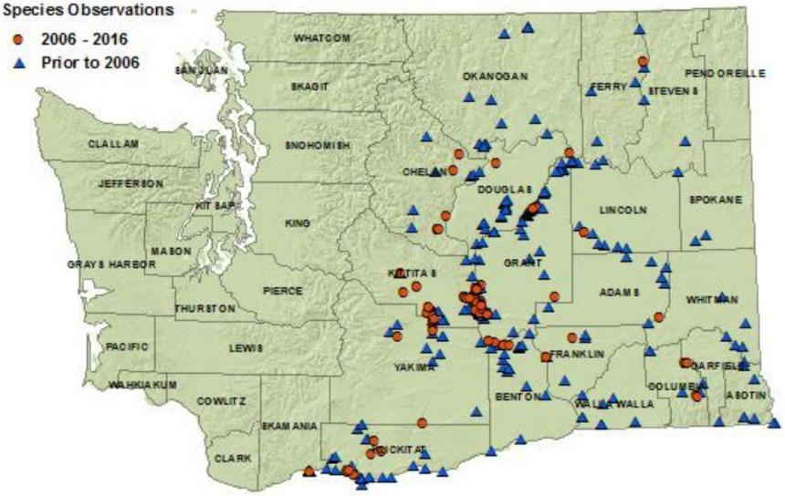 Western rattlesnake distribution map of Washington as of 2016, showing detections in all eastside counties but Pend Oreille.