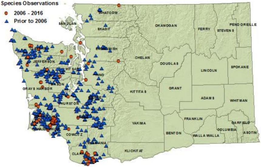 Red-backed salamander distribution map of Washington as of 2016: detections in all westside counties except San Juan Island.