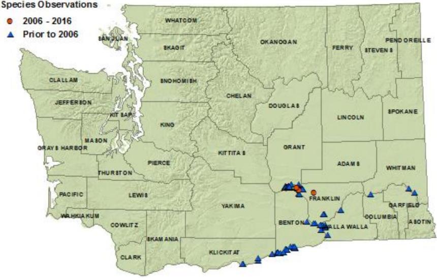 2016 Woodhouse's toad state distribution map: Klickitat, Benton, Grant, Franklin, Walla Walla, Garfield, Columbia counties