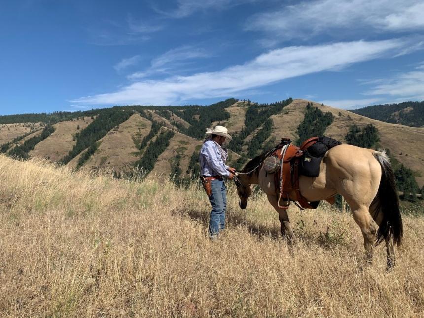 A WDFW contracted range rider working on private pasture in Columbia Pack territory
