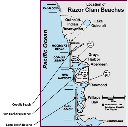 Map of razor clam beaches. 
