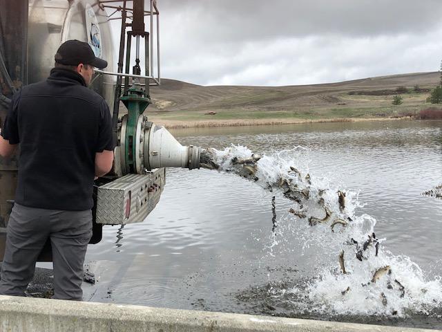 Annual trout derby kicks off lakes open statewide April 22