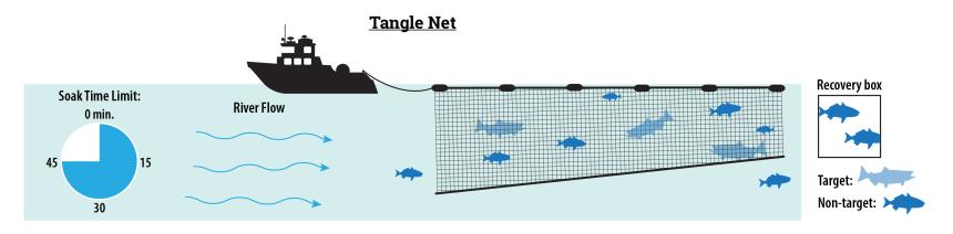 Surrounding Nets without Purse Lines - Fishing gear type