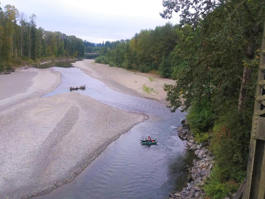 WDFW conducts salmon spawning surveys on the Stillaguamish River.