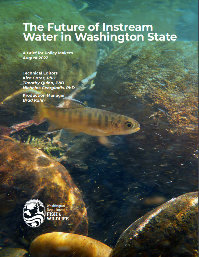 Cover image of the The Future of Instream Water in Washington State report