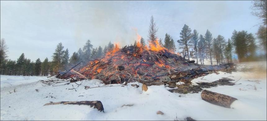 Burn pile on the Chelan Wildlife Area, Swakane and Burch Mountain Restoration Thin. Two hours after ignition.
