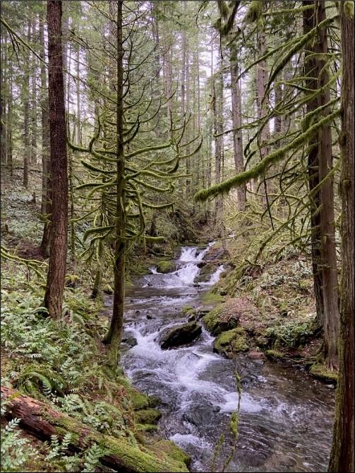 One of many cascading falls on Duncan Creek at the Nellie Corser Unit.