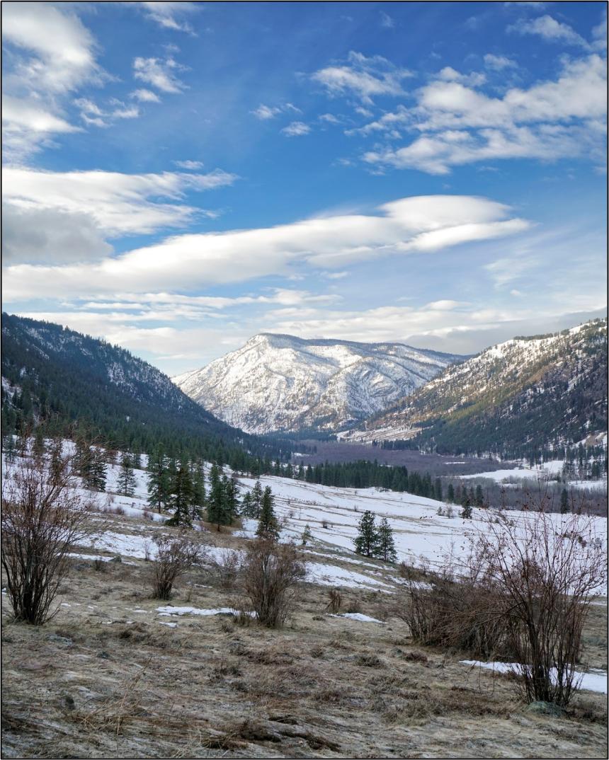 A view of Sinlahekin Wildlife Area near Forde Lake