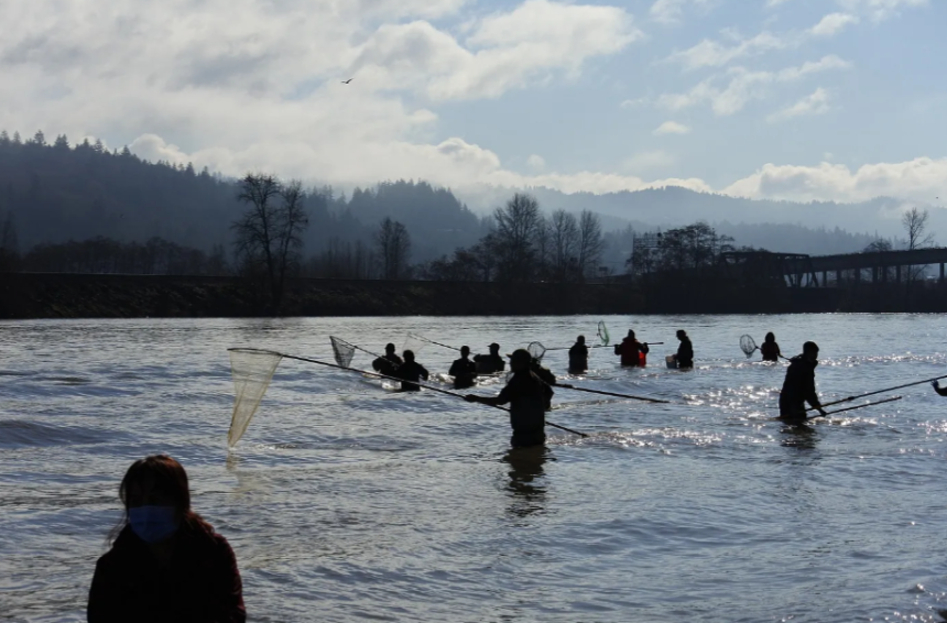 Dip netters fish for smelt on the Cowlitz River in March 2022. 