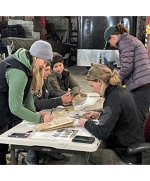 Biologists classify forest grouse wings and tails from the 2022 harvest.