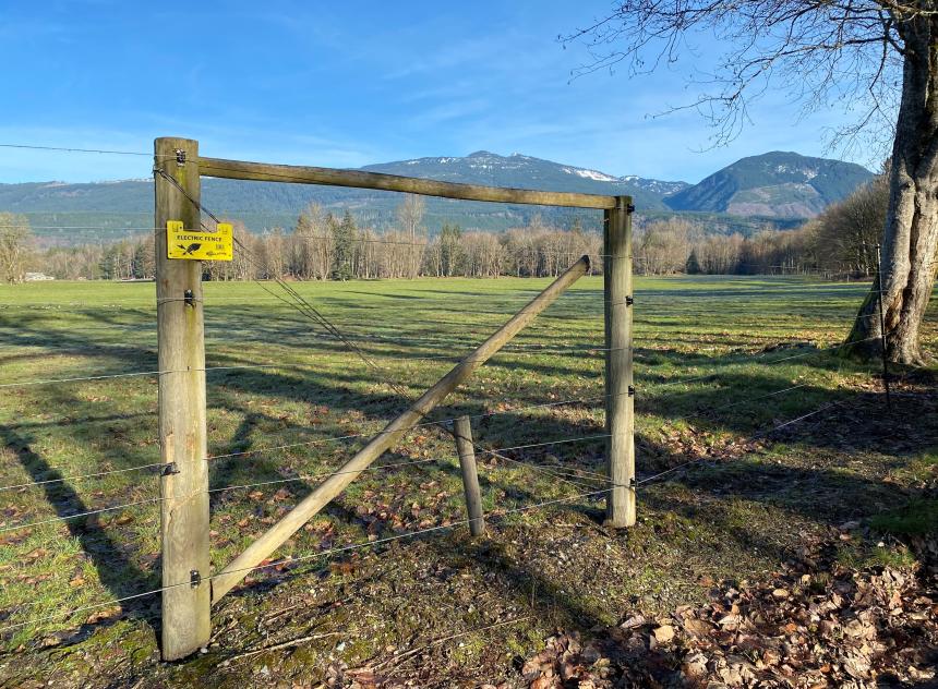 Electric fencing installed in Skagit Valley near Pressentin Road to deter elk.