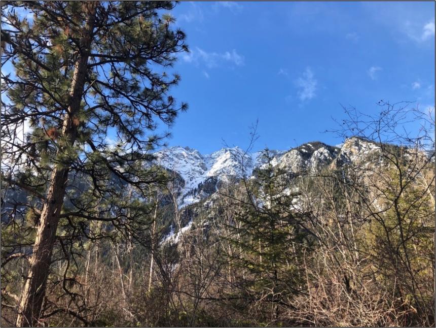 A view of Chopaka Mountain through the trees and brush.