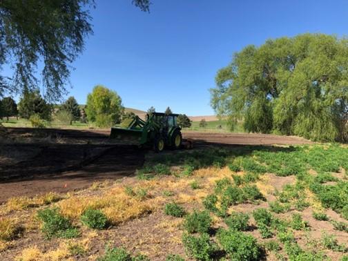 A tractor with a rototiller in the shade.