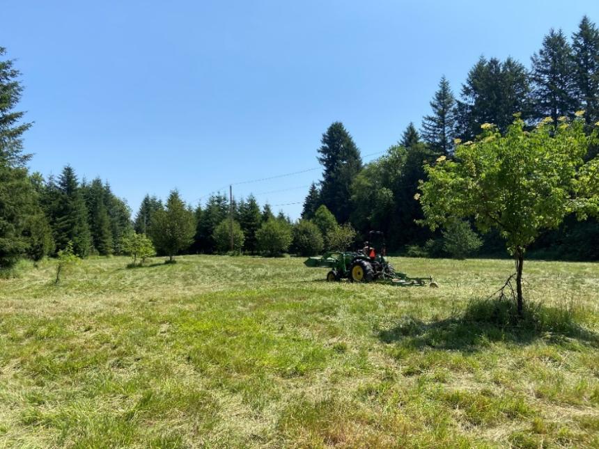 A tractor mowing in a field