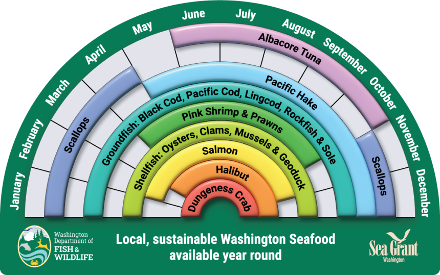 Infographic showing seafood in season throughout the year. 