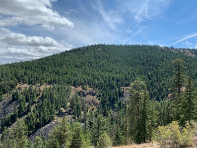 A view across North Fork Colockum Creek