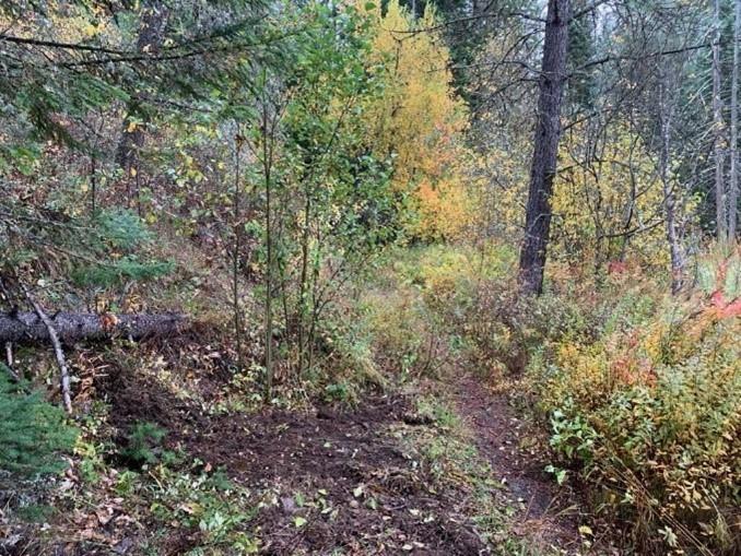 Before brushing out trails at Rustlers Gulch Wildlife Area